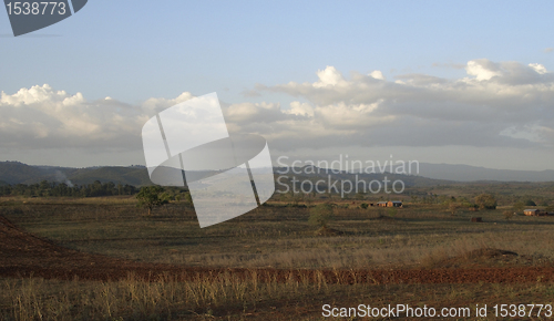 Image of Tarangire scenery in Africa at evening time