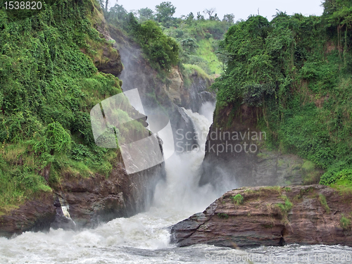 Image of idyllic Murchison Falls