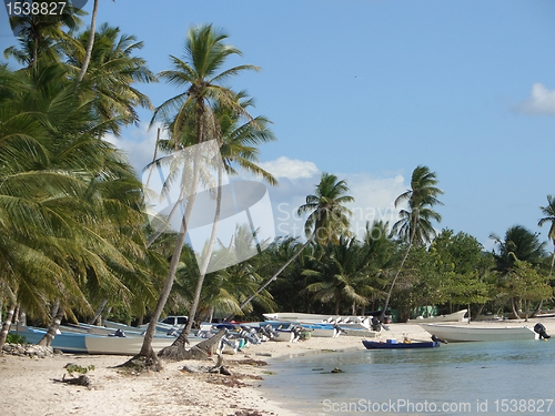 Image of Dominican Republic beach scenery