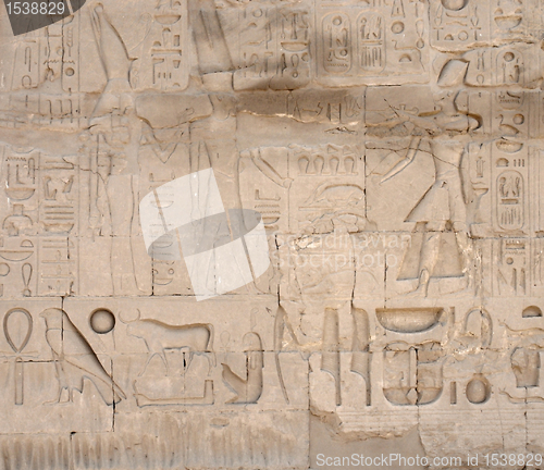 Image of relief at Precinct of Amun-Re in Egypt