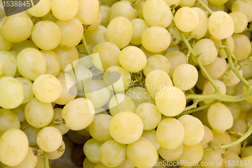 Image of fresh yellow grapes