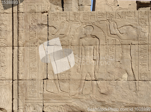 Image of relief at the Temple of Edfu in Egypt