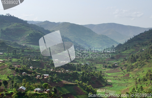 Image of Virunga Mountains in Africa