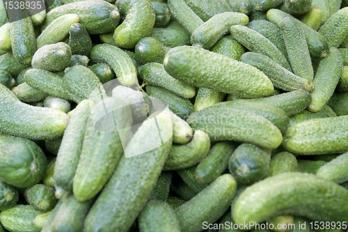 Image of lots of green gherkins