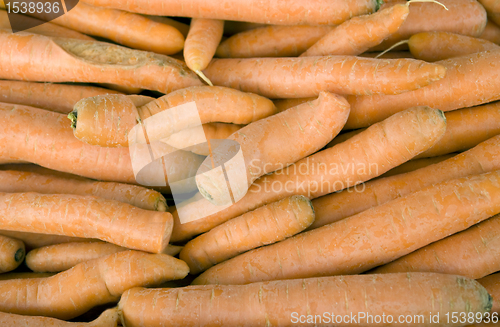 Image of lots of fresh carrots