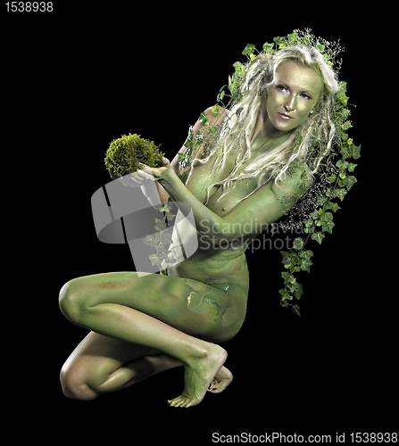 Image of dryad