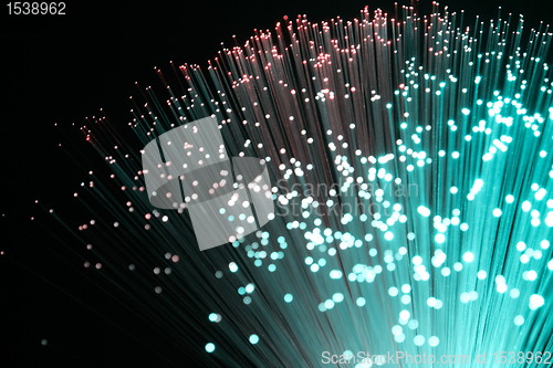 Image of plastic optical fibers