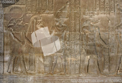 Image of relief at the Temple of Kom Ombo