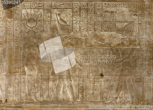 Image of relief at the Temple of Edfu