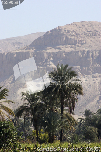 Image of between Aswan and Luxor