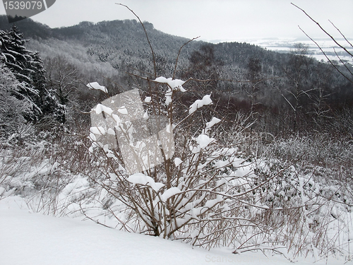 Image of snow covered landscape