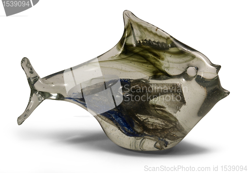 Image of glass fish