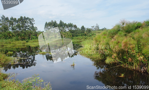 Image of waterside scenery near Rwenzori Mountains