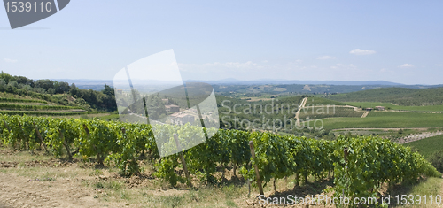 Image of Chianti in Tuscany