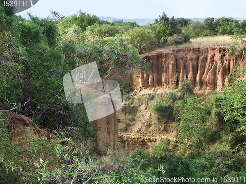 Image of around Lake Albert in Africa