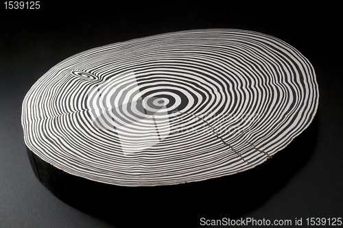 Image of sliced wood with black and white annual rings