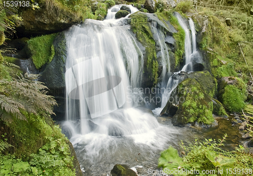 Image of idyllic Triberg Waterfalls