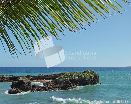 Image of Dominican Republic coastal scenery