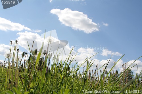 Image of Just a field