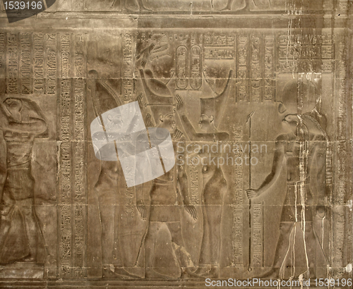 Image of ancient relief at the Temple of Kom Ombo