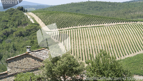 Image of Chianti in Tuscany