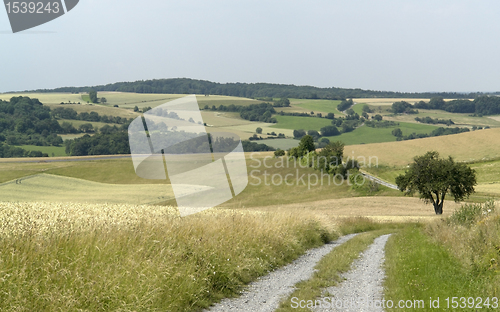 Image of rural panoramic scenery with farm track