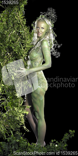 Image of dryad