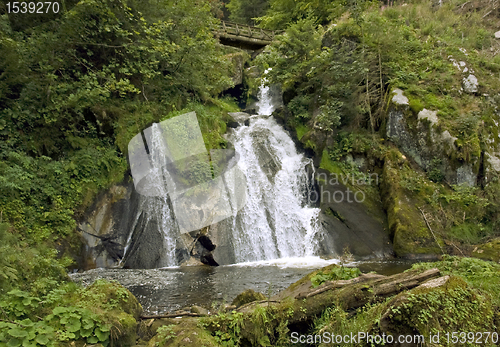 Image of idyllic Triberg Waterfalls