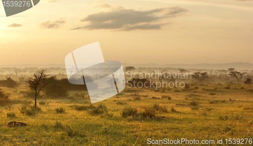 Image of Queen Elizabeth National Park at evening time