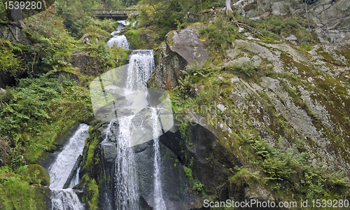 Image of idyllic Triberg Waterfalls