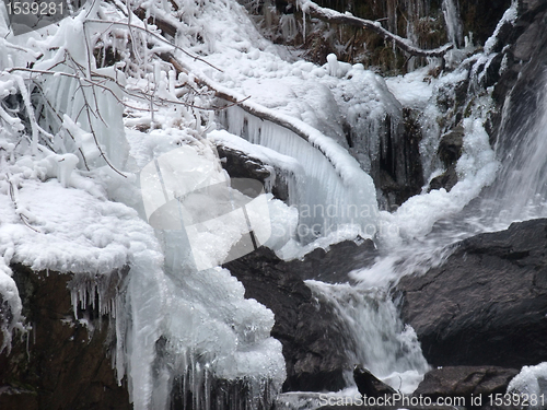 Image of natural winter detail