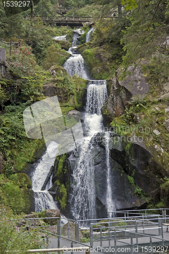 Image of idyllic Triberg Waterfalls