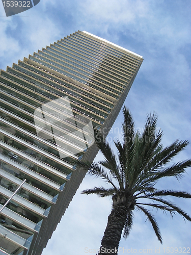 Image of high rise and palm tree