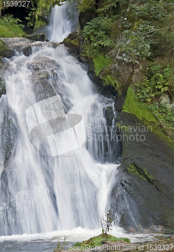 Image of idyllic Triberg Waterfalls