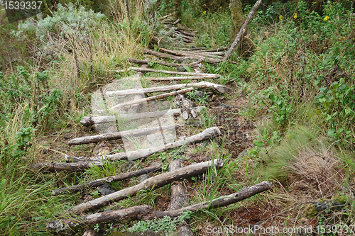 Image of Path to the top of Muhavara Vulcano