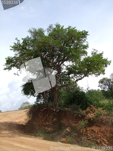 Image of Kabwoya Wildlife Reserve scenery