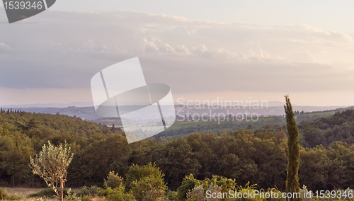 Image of evening scenery near San Regolo in Chianti