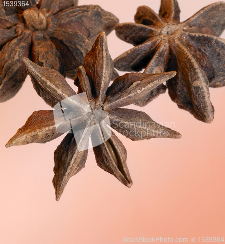 Image of warm toned star-anise