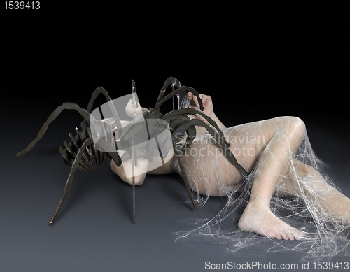 Image of spider attack