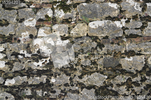 Image of old overgrown stone wall