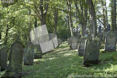 Image of old gravestone rows