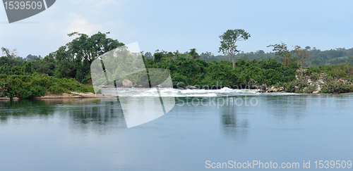 Image of waterside River Nile scenery near Jinja in Uganda