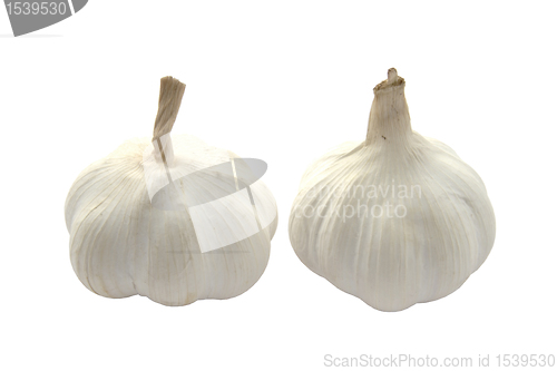 Image of Garlic 