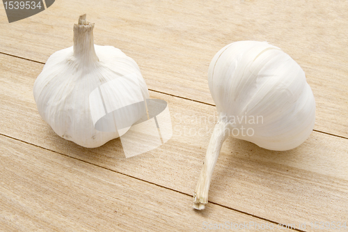 Image of Garlic 