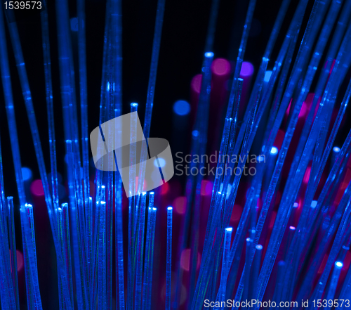 Image of Optical fibers