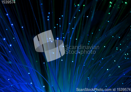 Image of Optical fibers