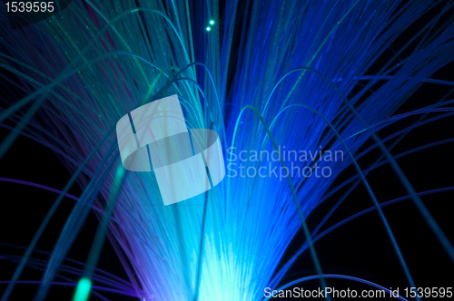 Image of Optical fibers