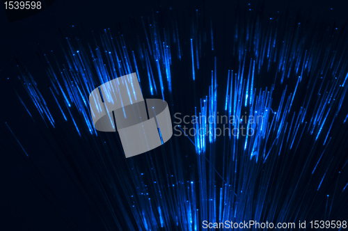 Image of Optical fibers