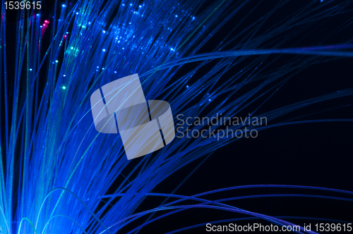 Image of Optical fibers