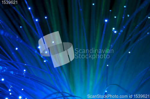 Image of Optical fibers